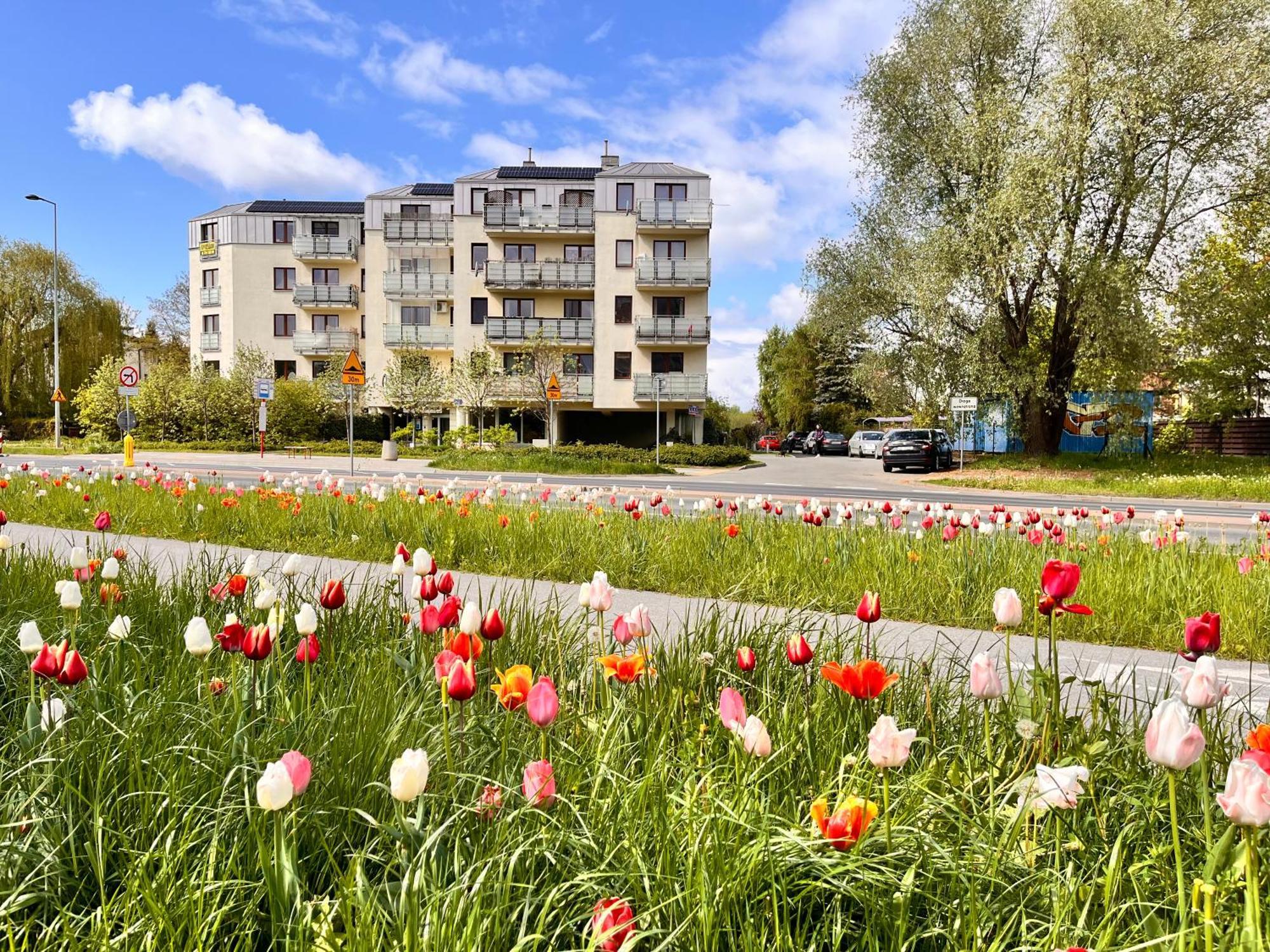 Apartament Roentgena 16 Przy Centrum Onkologii I Klinice Novum Varsóvia Exterior foto
